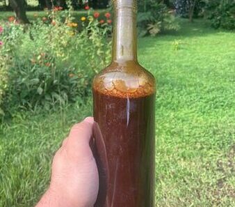 buy Ayahuasca online